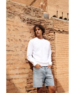 Bluza Iconic 250 Set-In fruit of the loom TFL/62-292-0