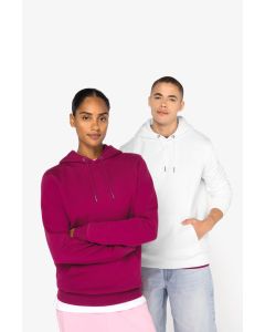 Bluza z Kapturem Unisex native spirit TNS/NS401