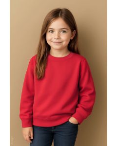 Bluza Classic stedman TSD/ST4370