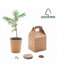 Nasiona sosny, torf, doniczka mo GMO/MO6228