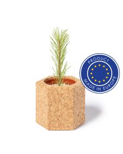 Korkowa doniczka, nasiona sosny vg GVG/V0915