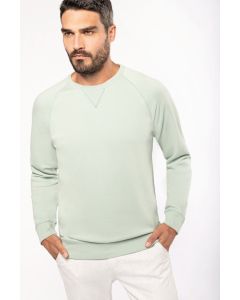 Męska bluza raglanowa z okrągłym dekoltem z bawełny organicznej kariban TKA/K480