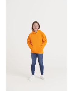 Dziecięca Bluza Electric Hoodie z Kapturem just hoods THE/JH004J